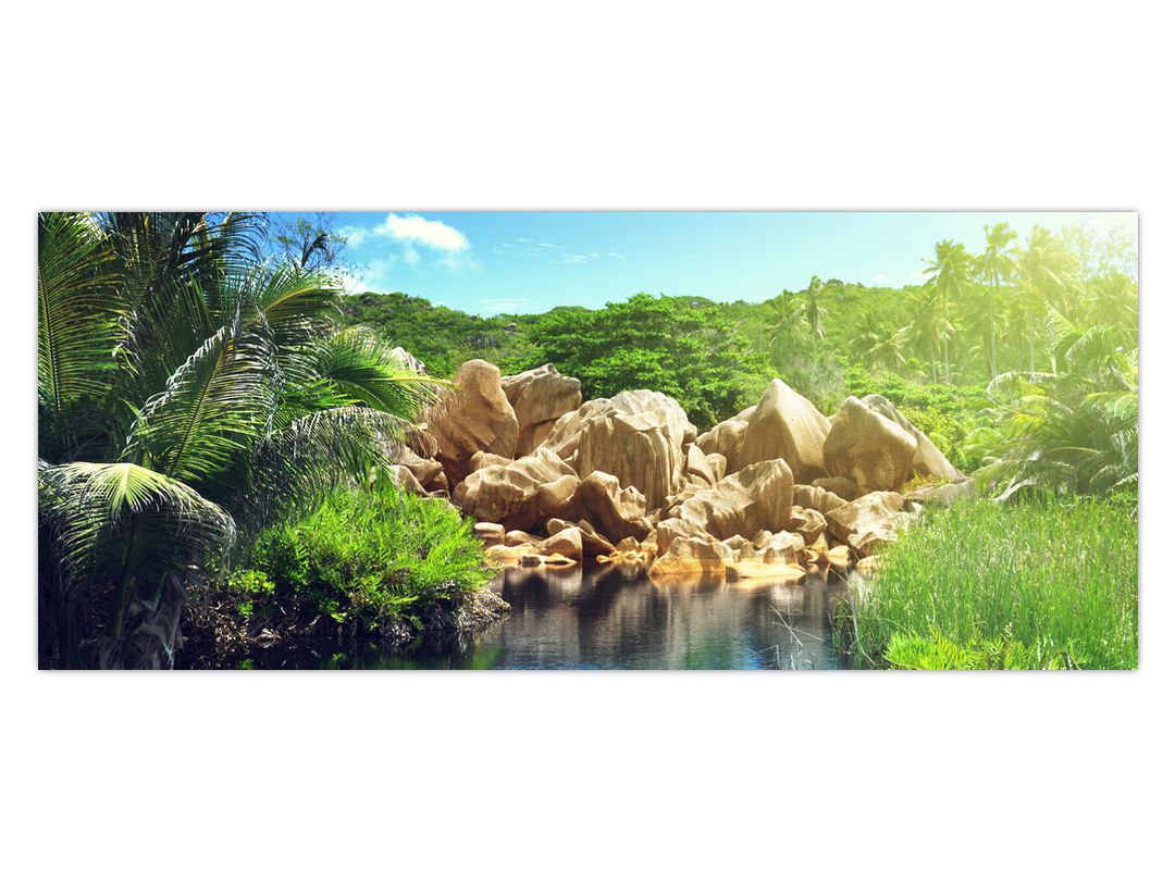 Obraz jezera v Seychelské džungli (V020651V12050)
