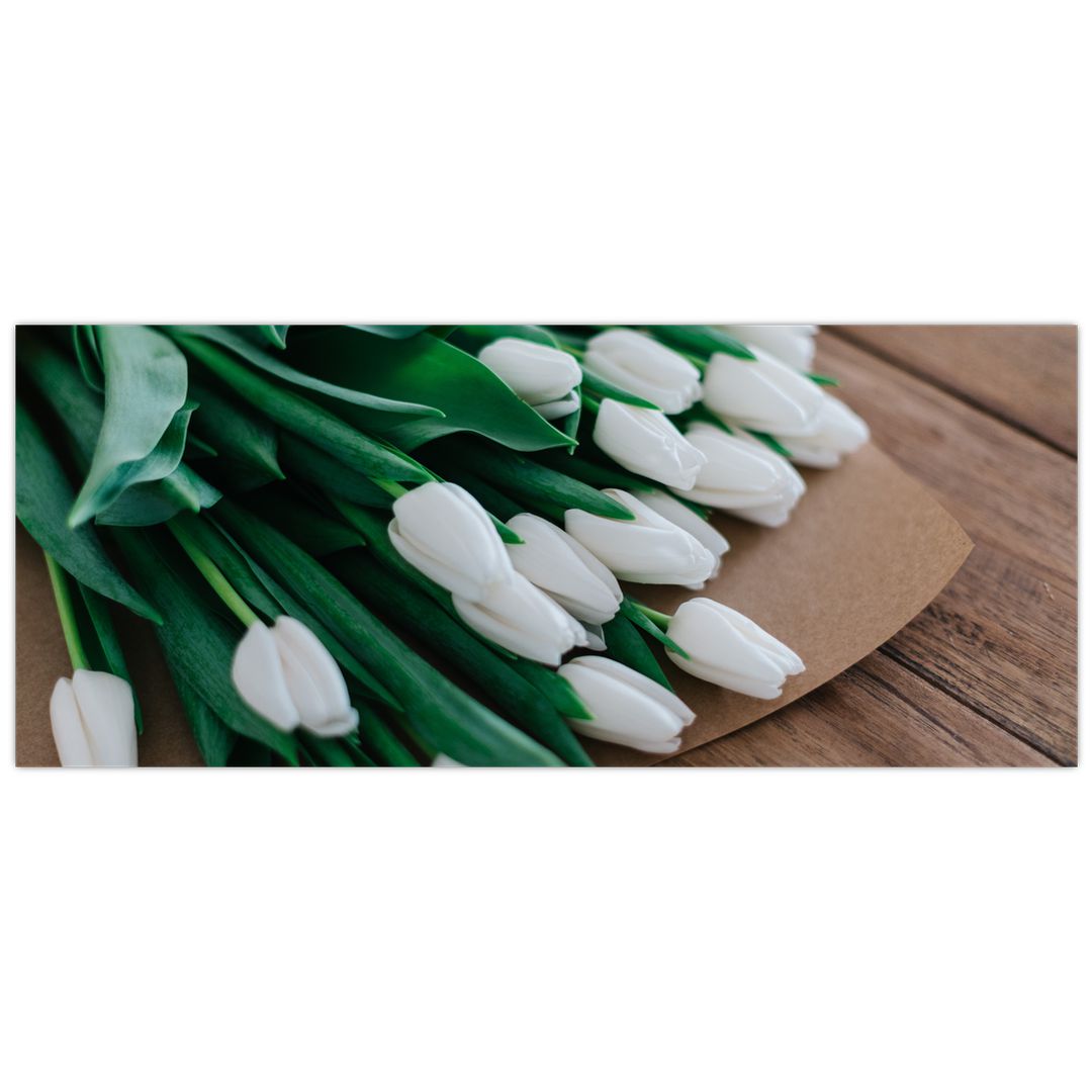 Obraz kytice bílých tulipánů (V020922V12050)