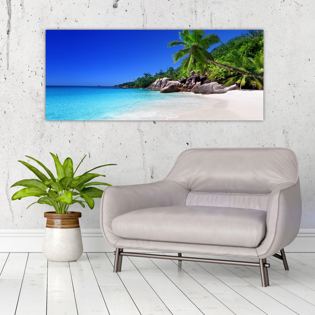 Obraz pláže na Praslin ostrově (V020936V12050)