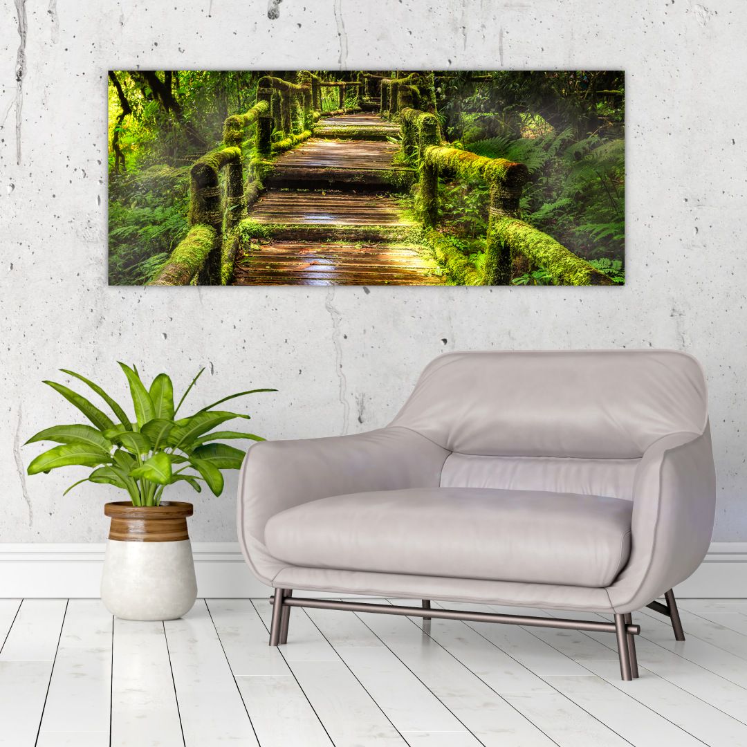 Obraz schodů v deštném pralese (V020941V12050)