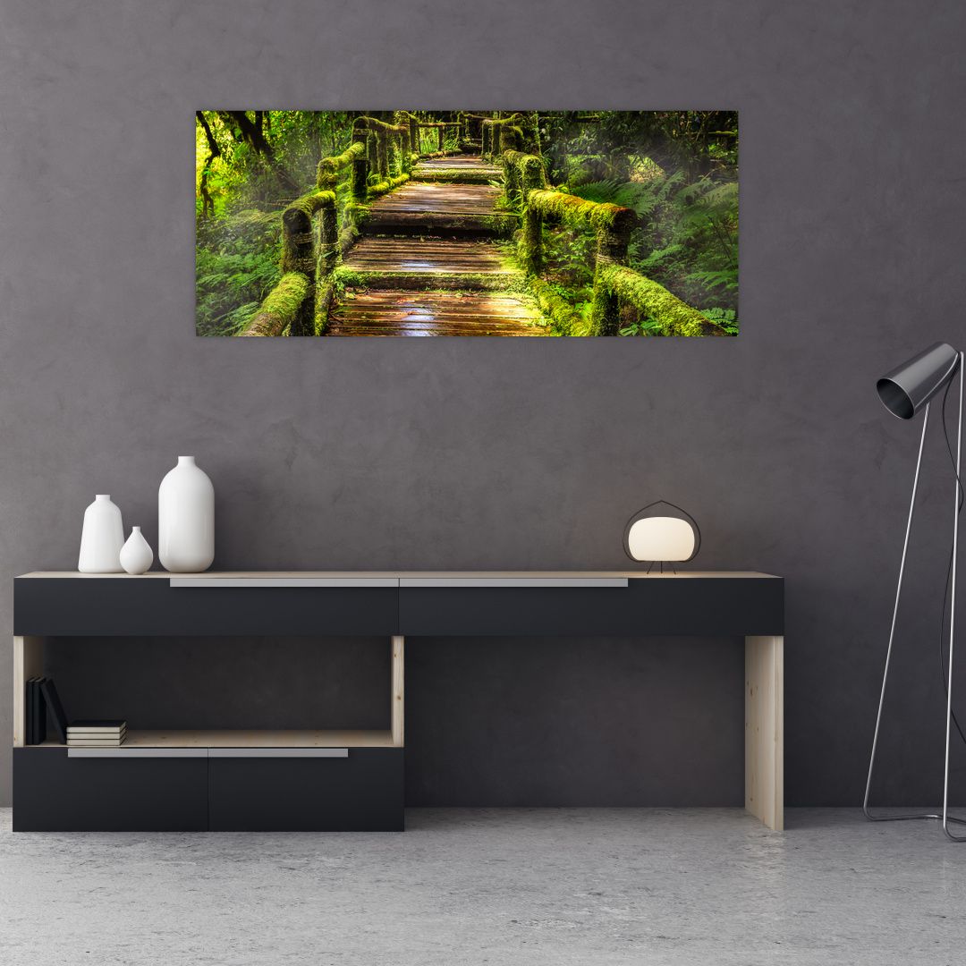Obraz schodů v deštném pralese (V020941V12050)