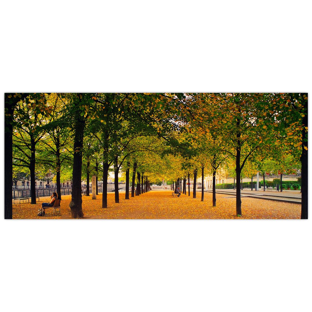 Obraz aleje podzimních stromů (V020953V12050)