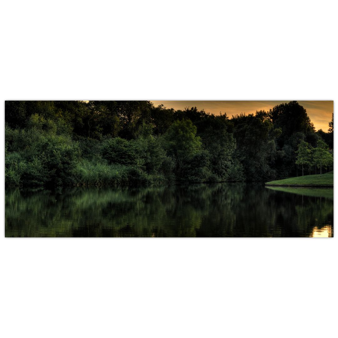 Obraz jezera u lesa (V020974V12050)