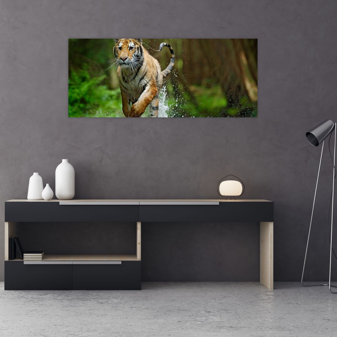 Obraz běžícího tygra (V020979V12050)