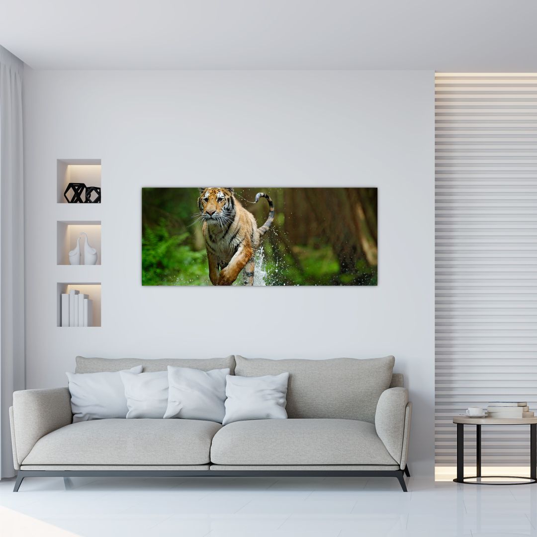 Obraz běžícího tygra (V020979V12050)