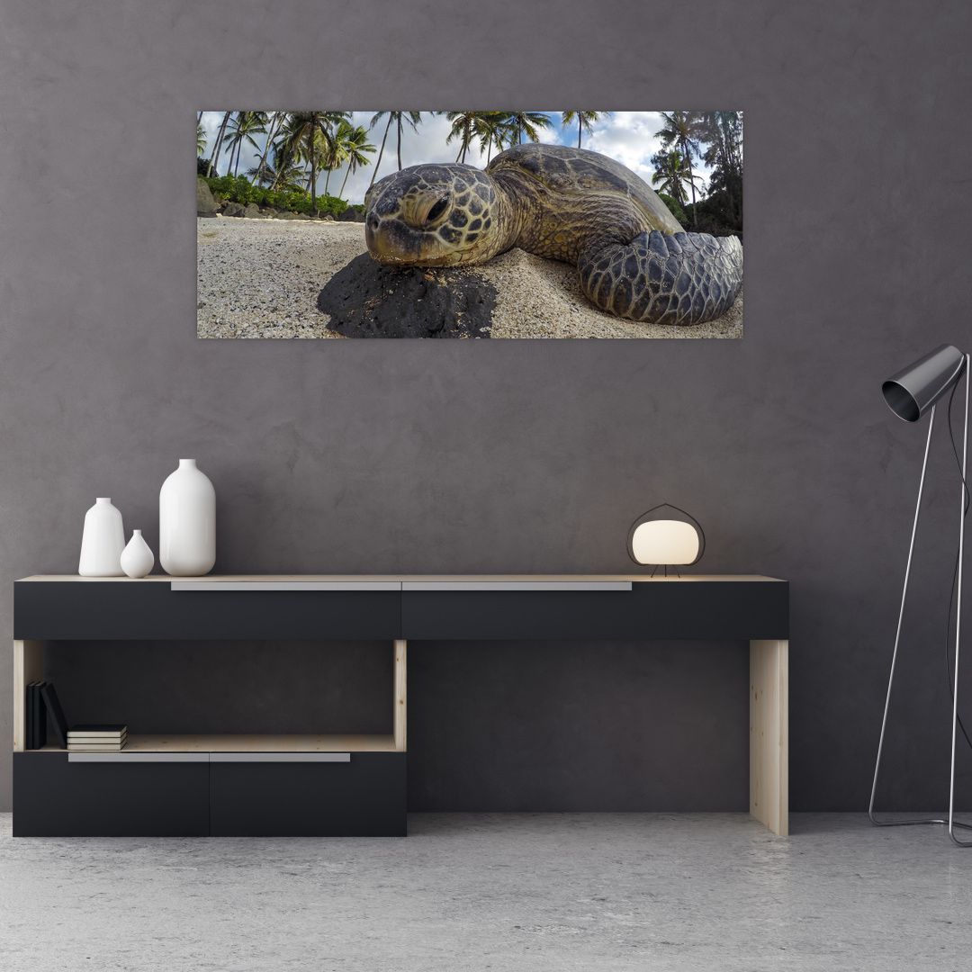 Obraz želvy (V020992V12050)
