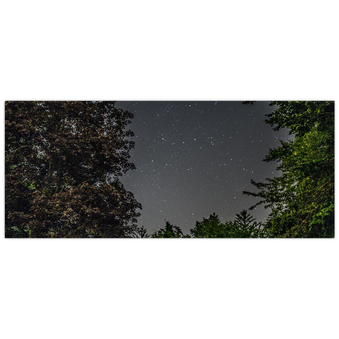 Obraz noční oblohy (V020998V12050)