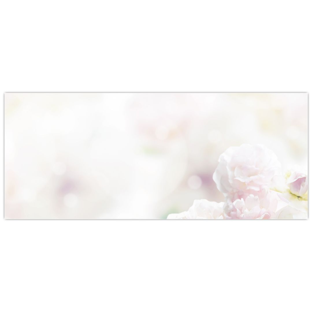 Obraz něžných květů (V022280V12050)