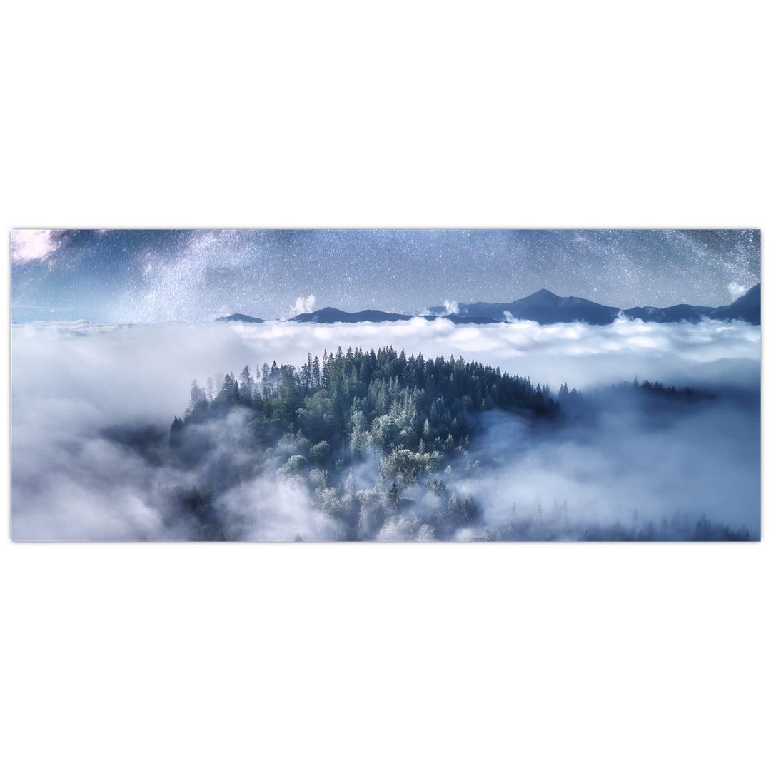Obraz lesa v mlze (V022302V12050)