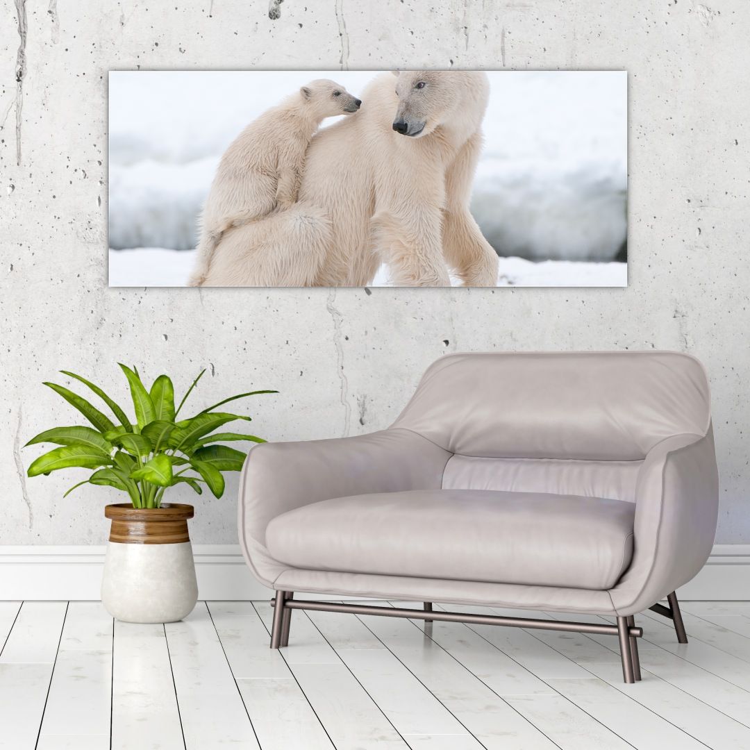 Obraz - Lední medvědi (V022334V12050)