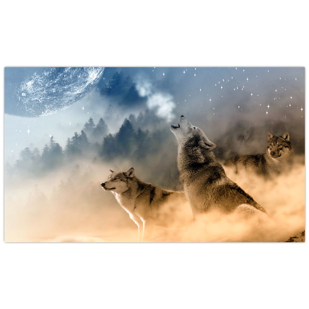 Slika - volkovi, ki tulijo v luno (V020509V12070)