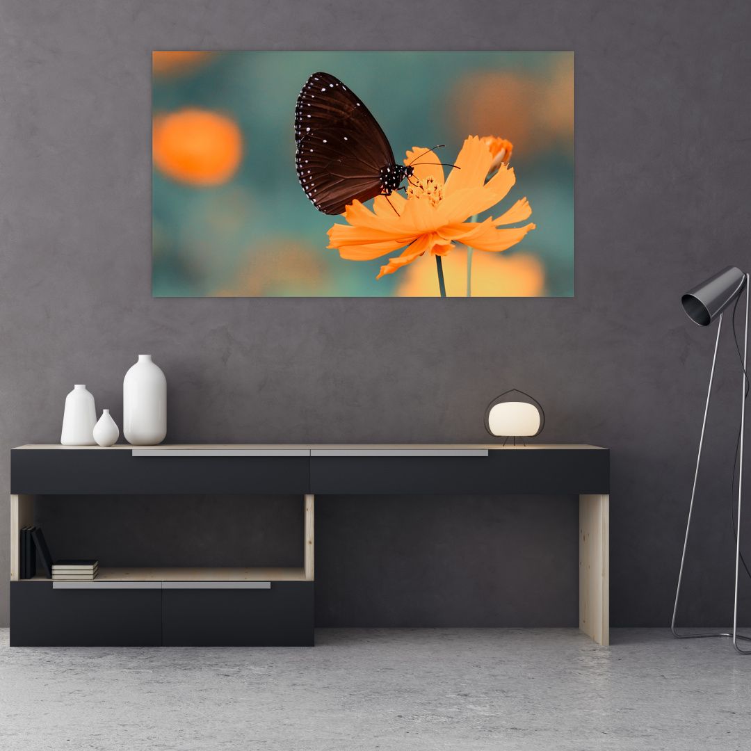 Obraz - motýl na oranžové květině (V020577V12070)