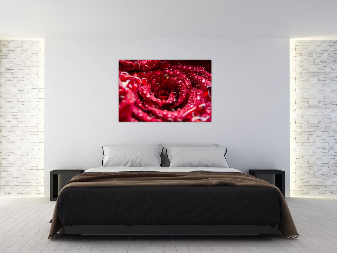Tablou cu floarea trandafirului roșu (V020009V12080)