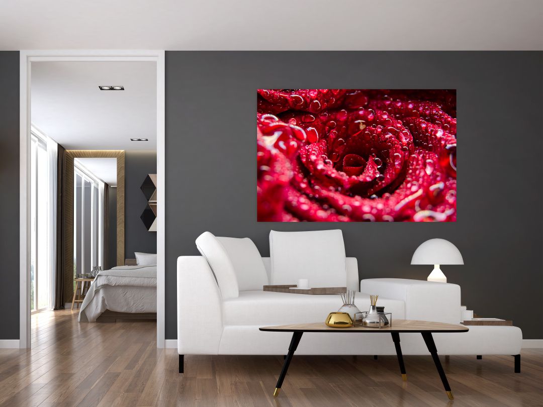 Tablou cu floarea trandafirului roșu (V020009V12080)