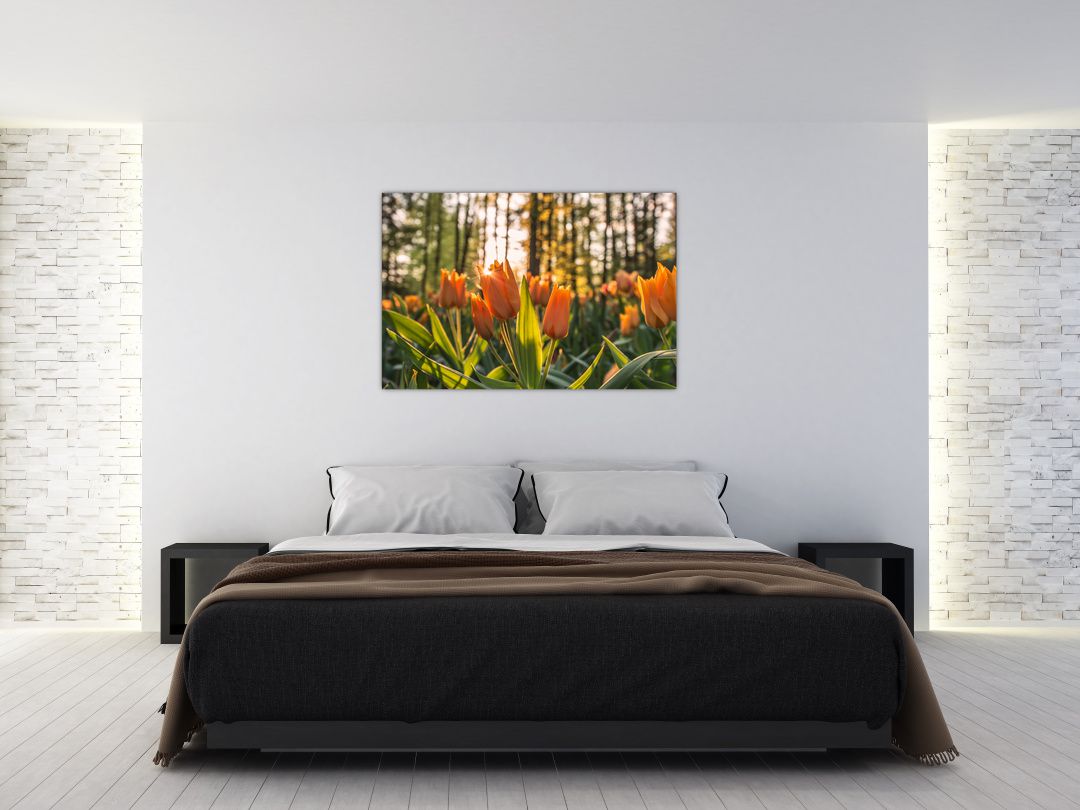 Obraz - oranžové tulipány (V020552V12080)