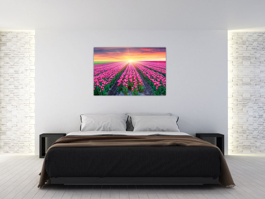 Obraz pole tulipánů se sluncem (V020554V12080)
