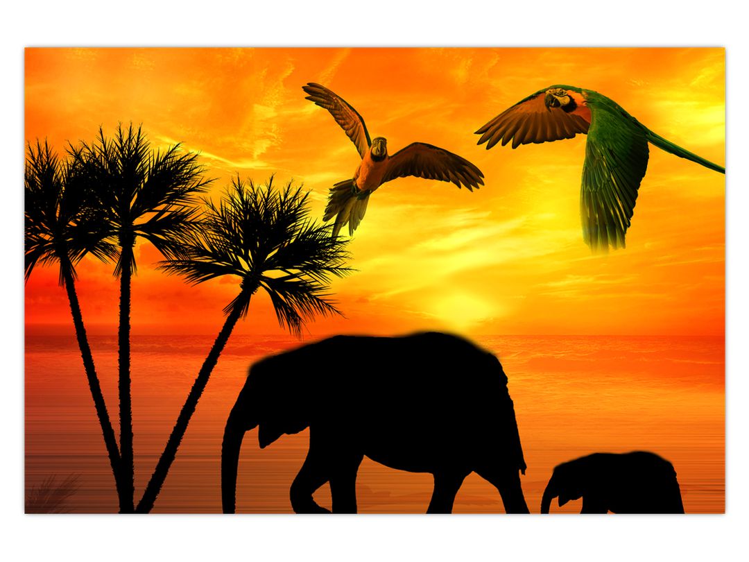 Obraz - papoušci a sloni (V020562V12080)