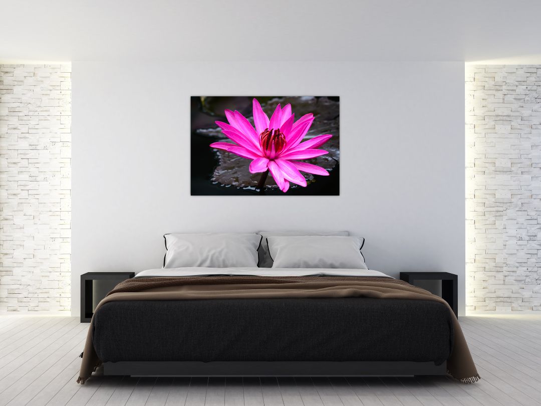 Obraz - růžový květ (V020636V12080)