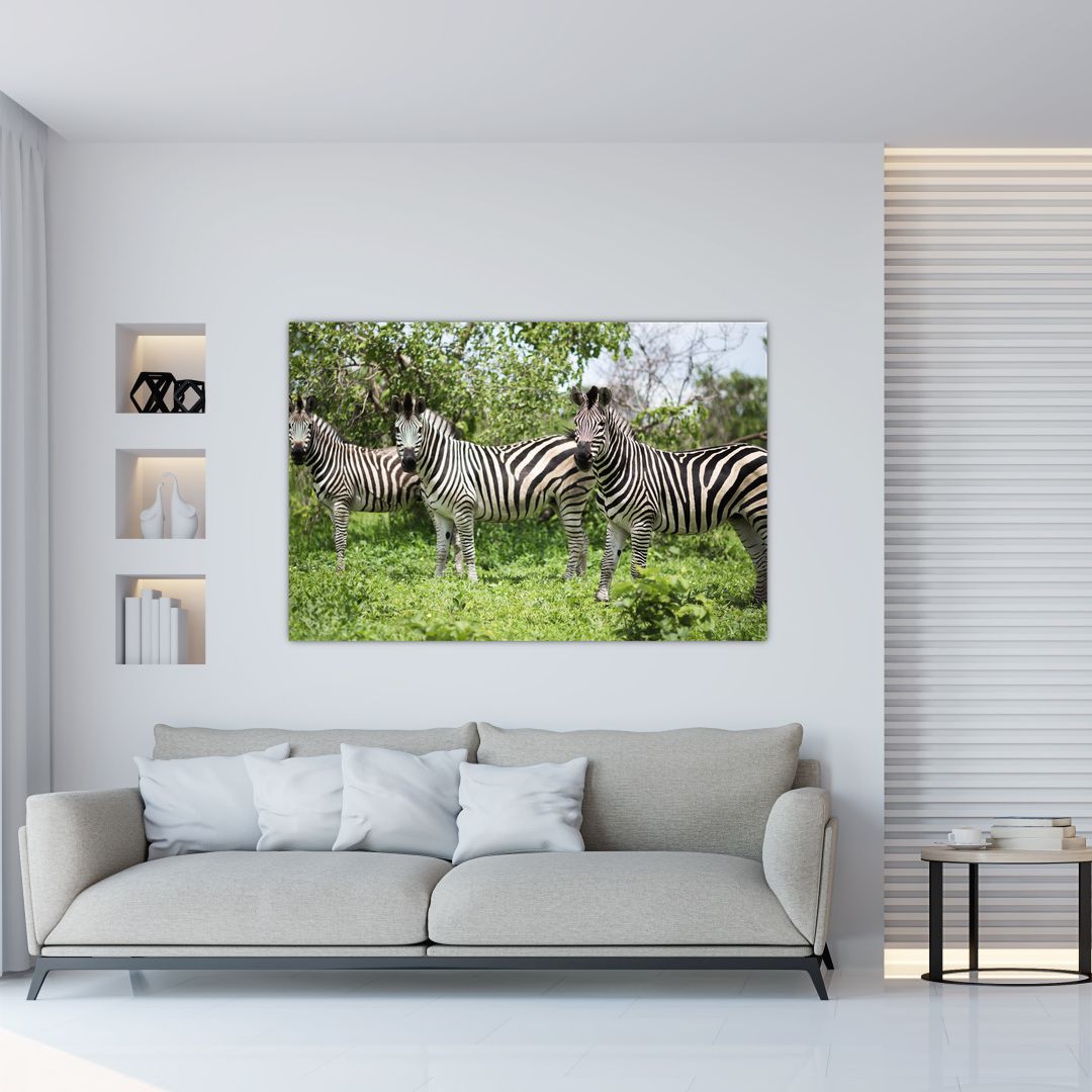 Obraz s zebrami (V020921V12080)