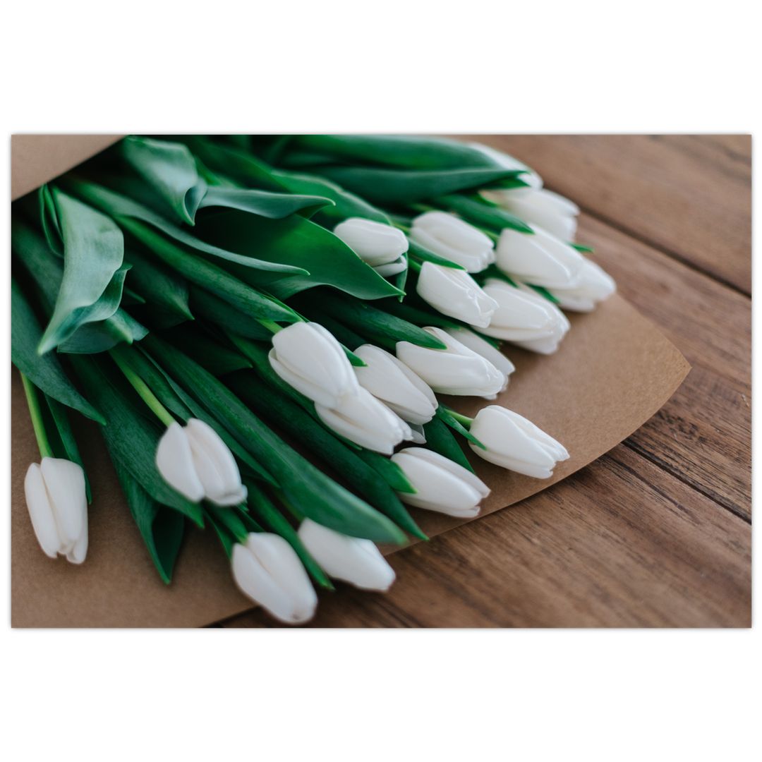 Obraz kytice bílých tulipánů (V020922V12080)