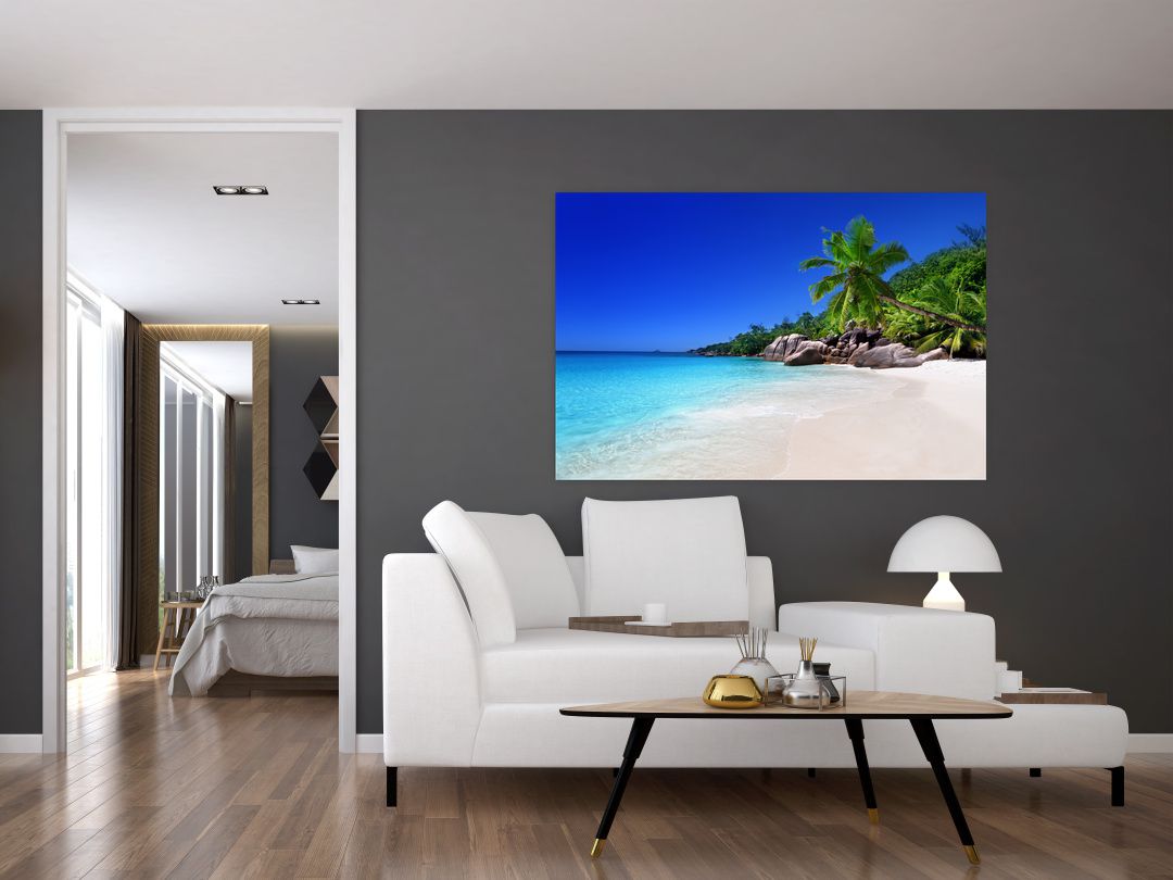 Obraz pláže na Praslin ostrově (V020936V12080)