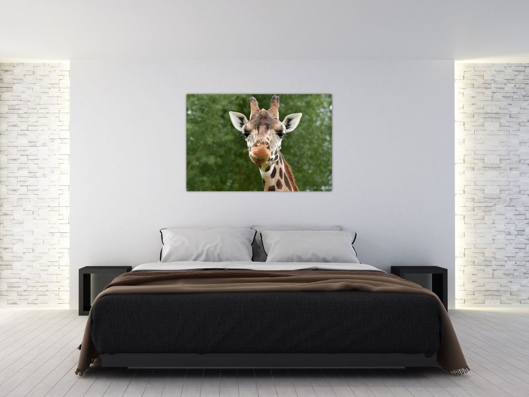 Obraz žirafy (V020969V12080)