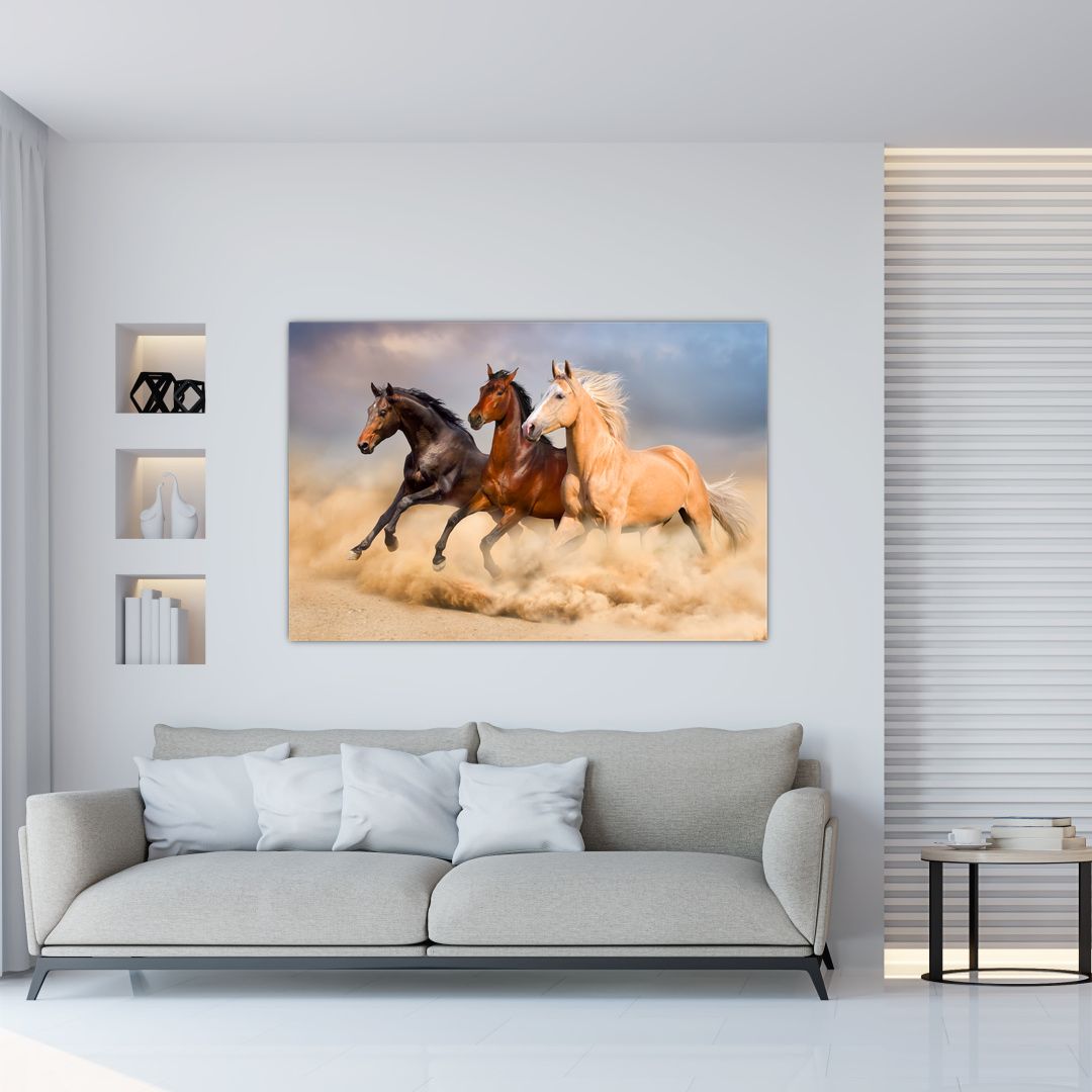 Obraz - Divocí koně (V021450V12080)