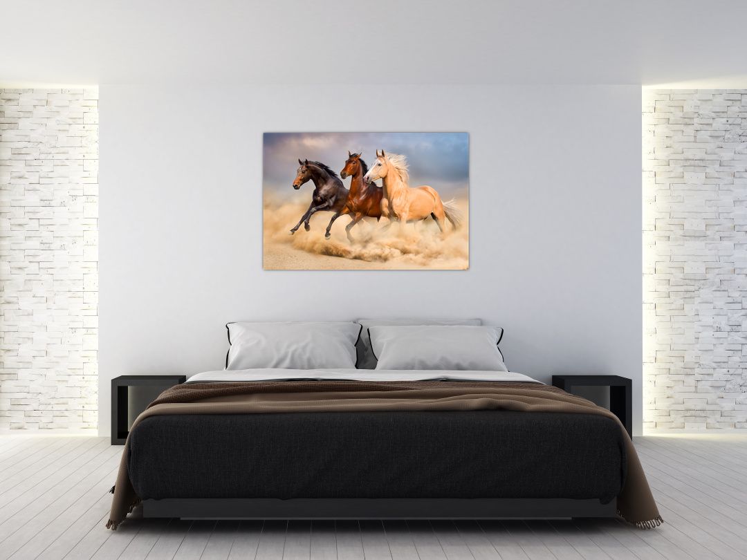Obraz - Divocí koně (V021450V12080)