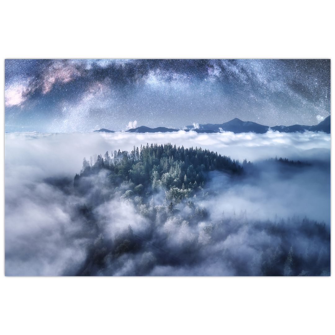 Obraz lesa v mlze (V022302V12080)