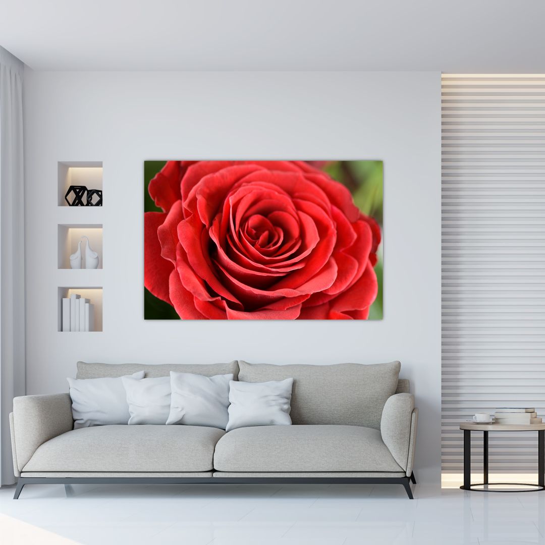 Tablou - Flori de trandafir (V022563V12080)