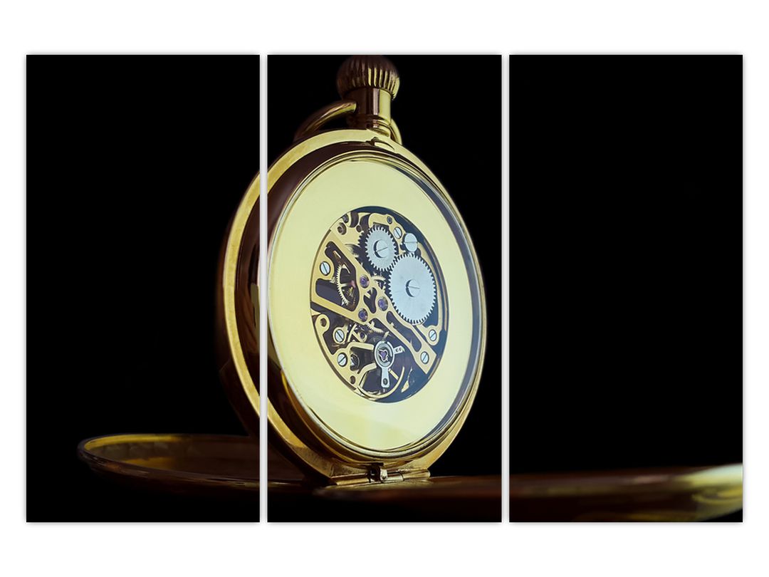 Obraz zlatých kapesních hodinek (V020569V120803PCS)
