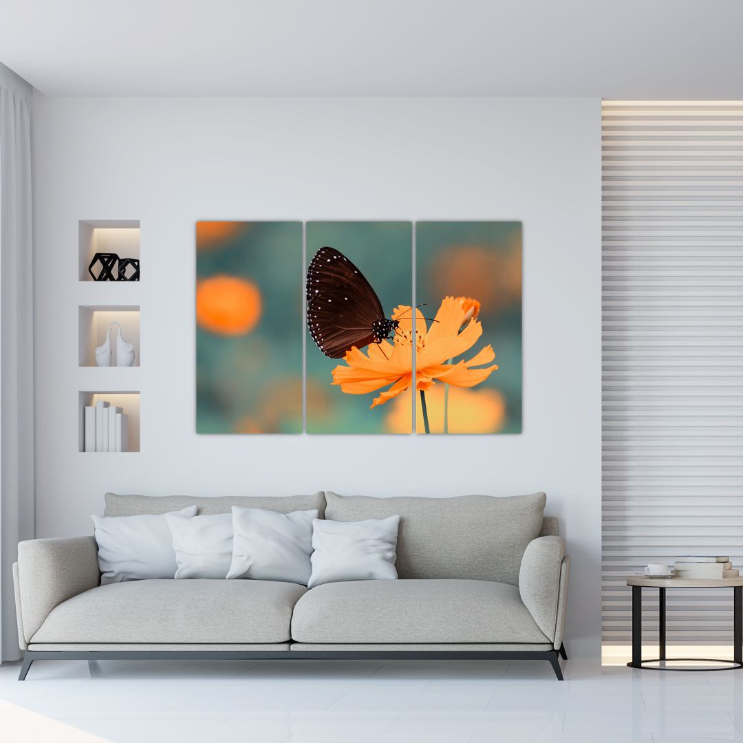 Obraz - motýl na oranžové květině (V020577V120803PCS)