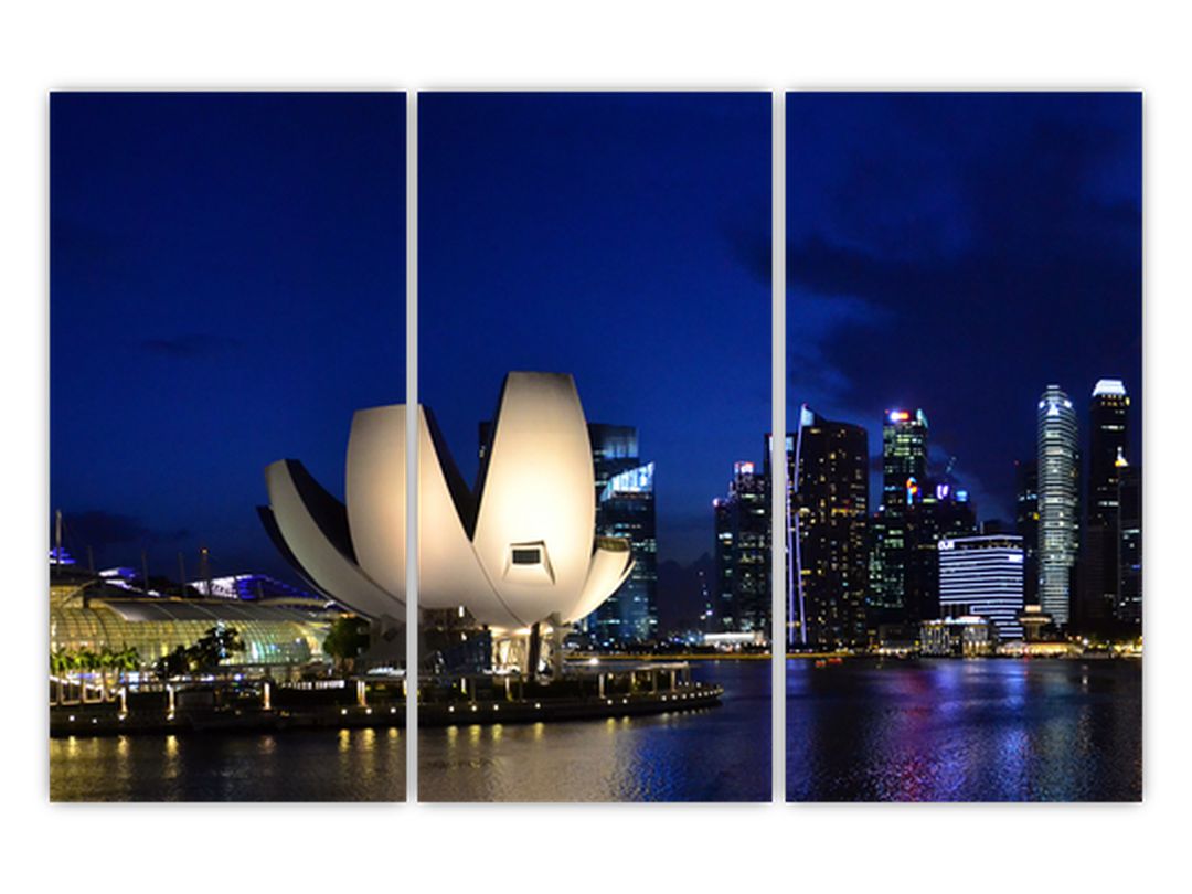 Obraz nočního Singapouru (V020610V120803PCS)