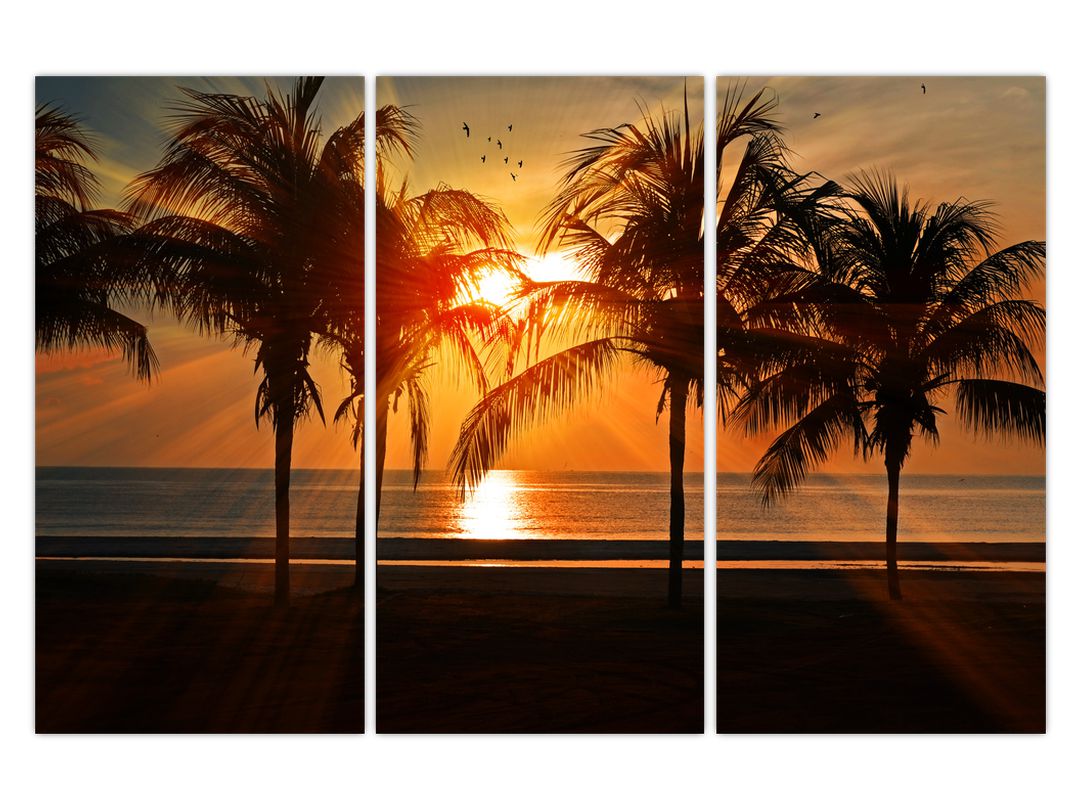 Obraz palmy v západu slunce (V020622V120803PCS)
