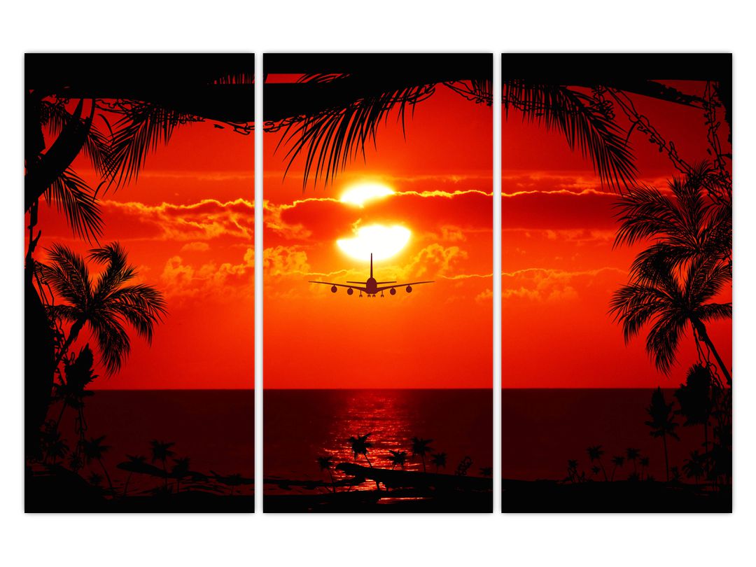 Obraz - západ slunce s letadlem (V020623V120803PCS)