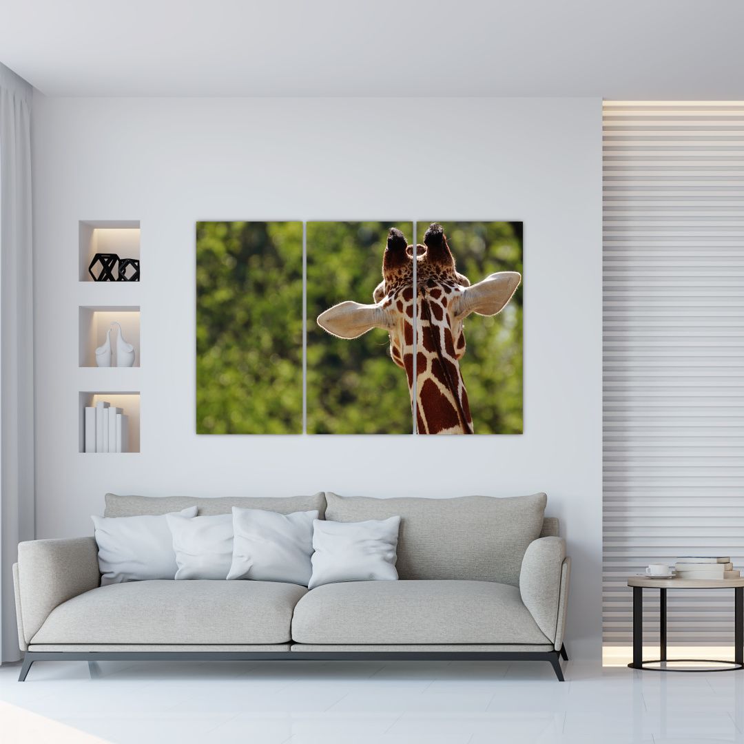 Obraz žirafy zezadu (V020638V120803PCS)
