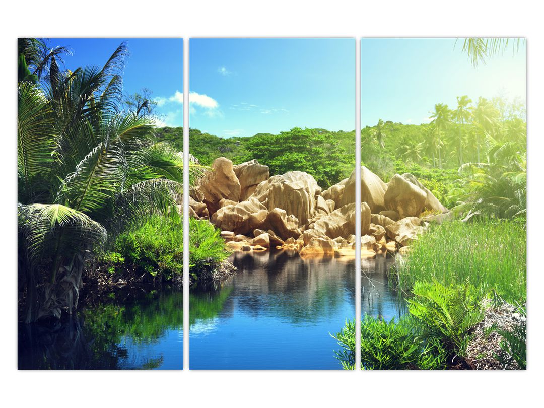 Obraz jezera v Seychelské džungli (V020651V120803PCS)