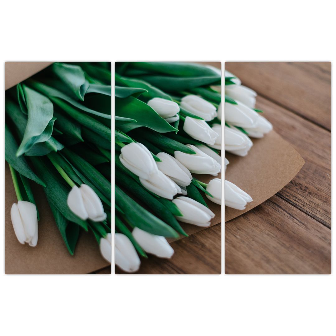 Obraz kytice bílých tulipánů (V020922V120803PCS)