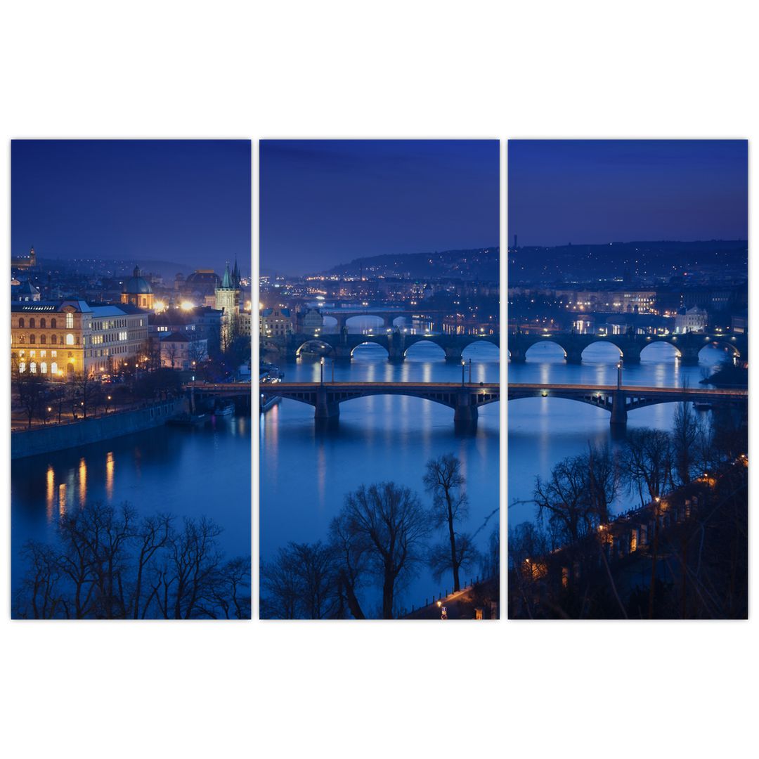 Obraz pražských mostů (V020932V120803PCS)