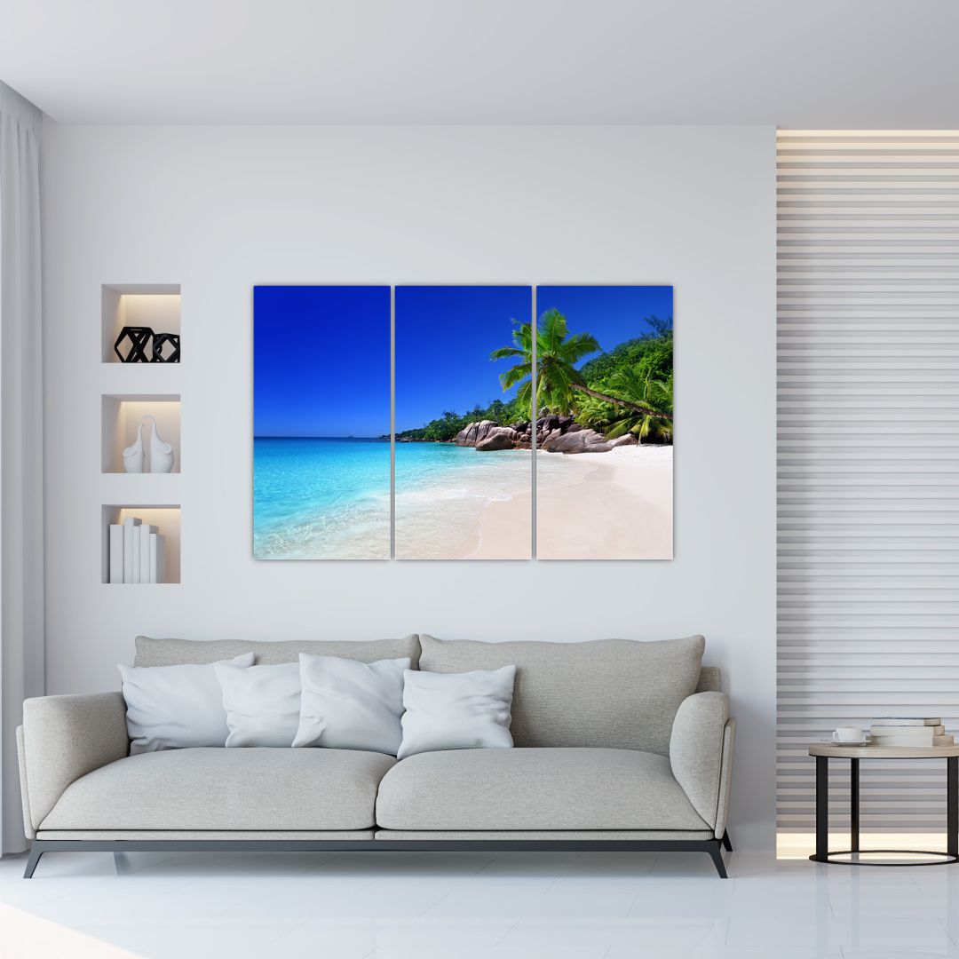 Obraz pláže na Praslin ostrově (V020936V120803PCS)