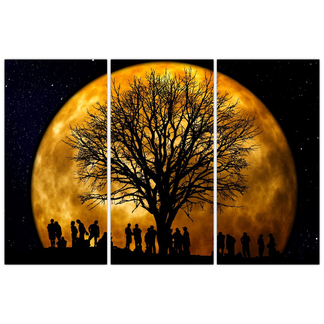 Obraz měsíce a siluet (V020995V120803PCS)