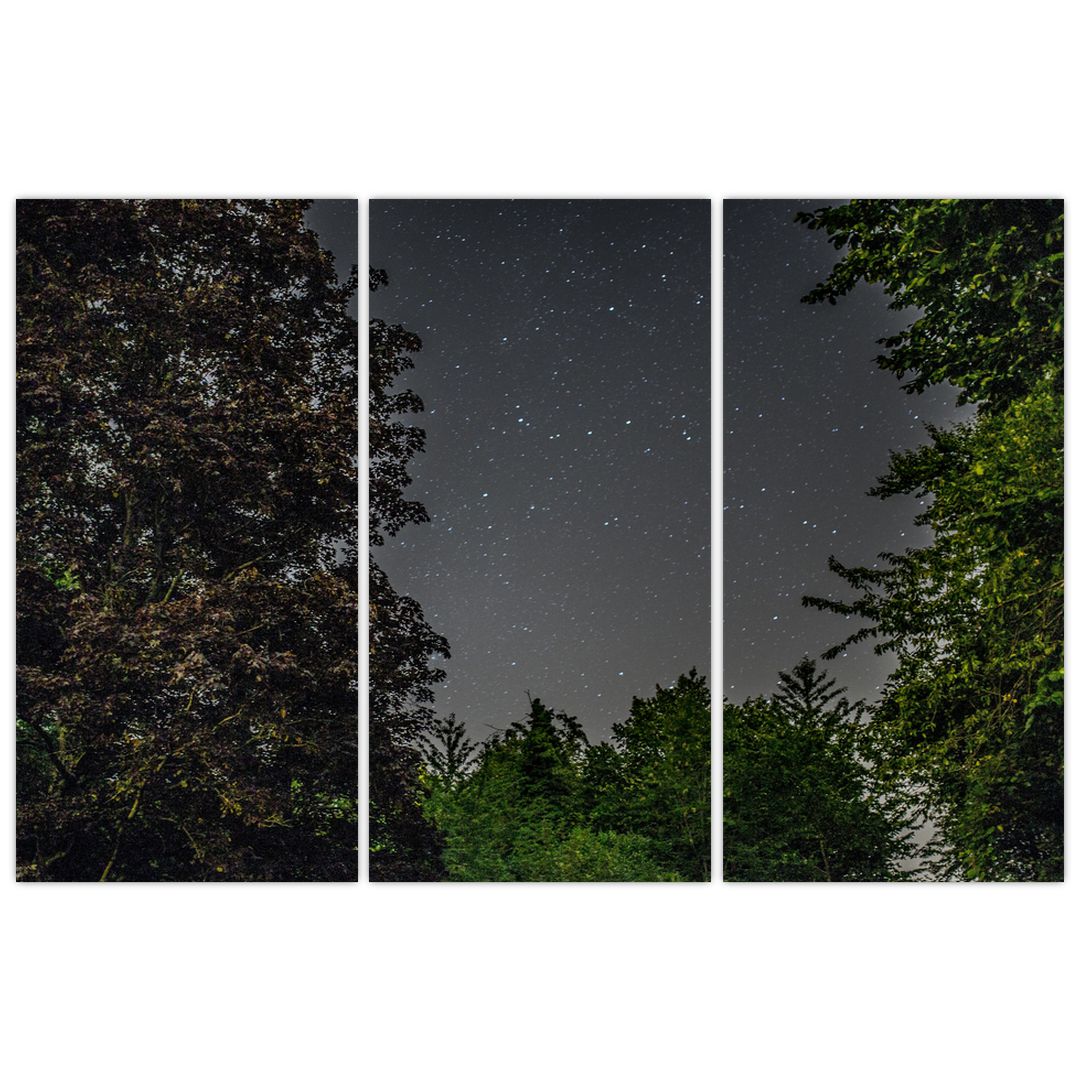 Obraz noční oblohy (V020998V120803PCS)
