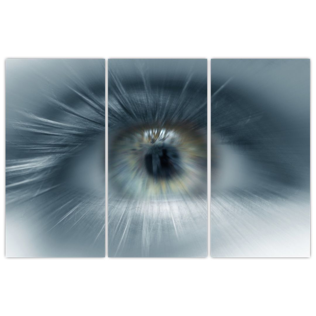 Obraz  - Pohled oka (V022319V120803PCS)
