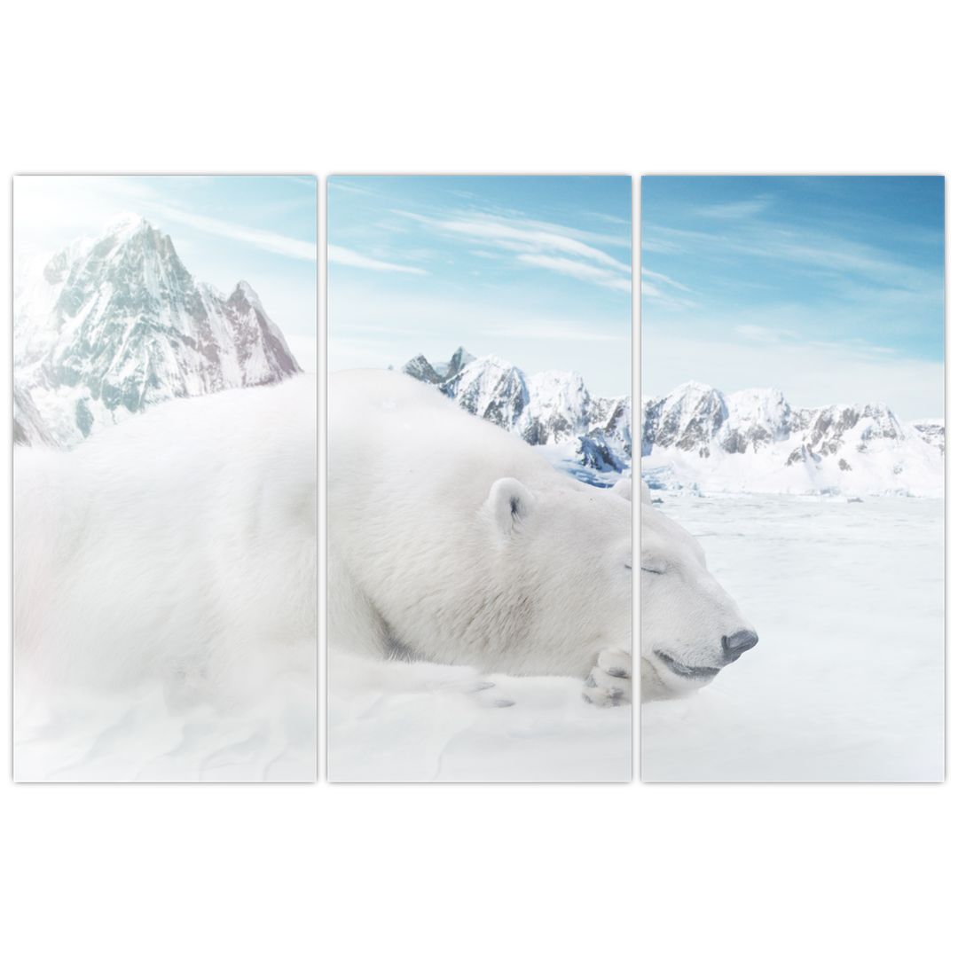 Obraz - Lední medvěd (V022322V120803PCS)