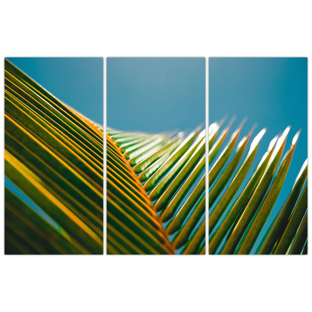 Tablou - Frunze de palmier (V022685V120803PCS)