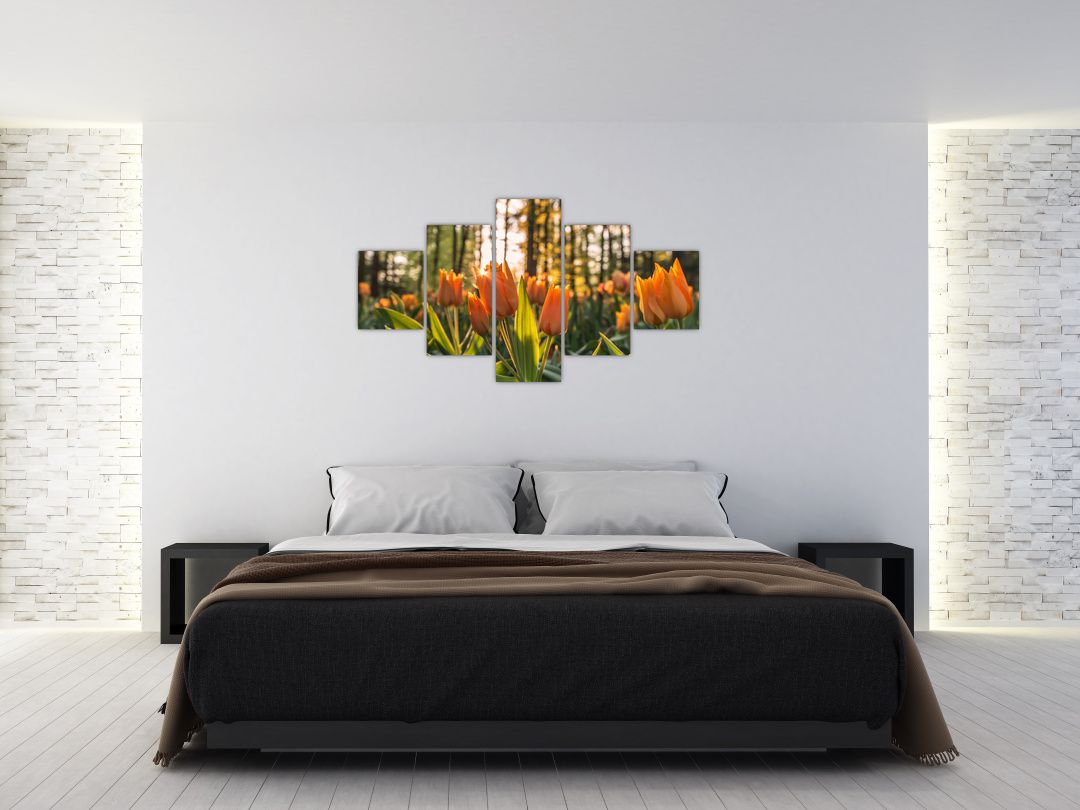 Obraz - oranžové tulipány (V020552V12570)