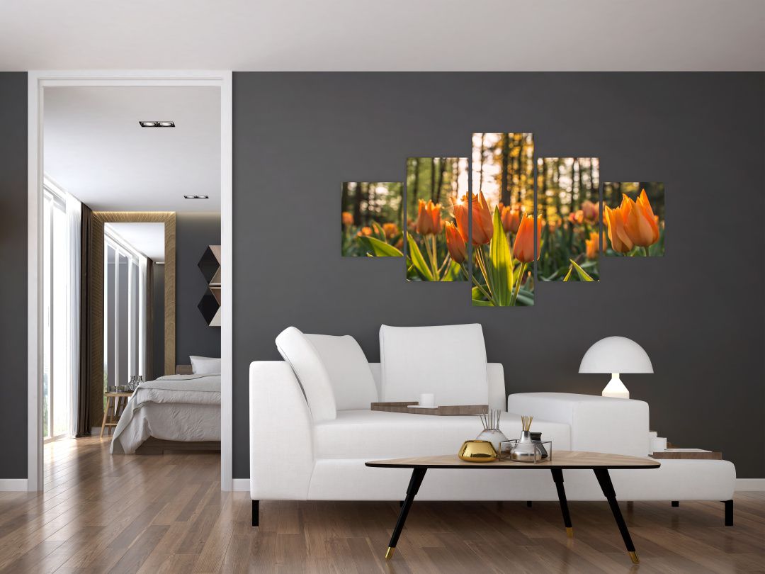 Obraz - oranžové tulipány (V020552V12570)