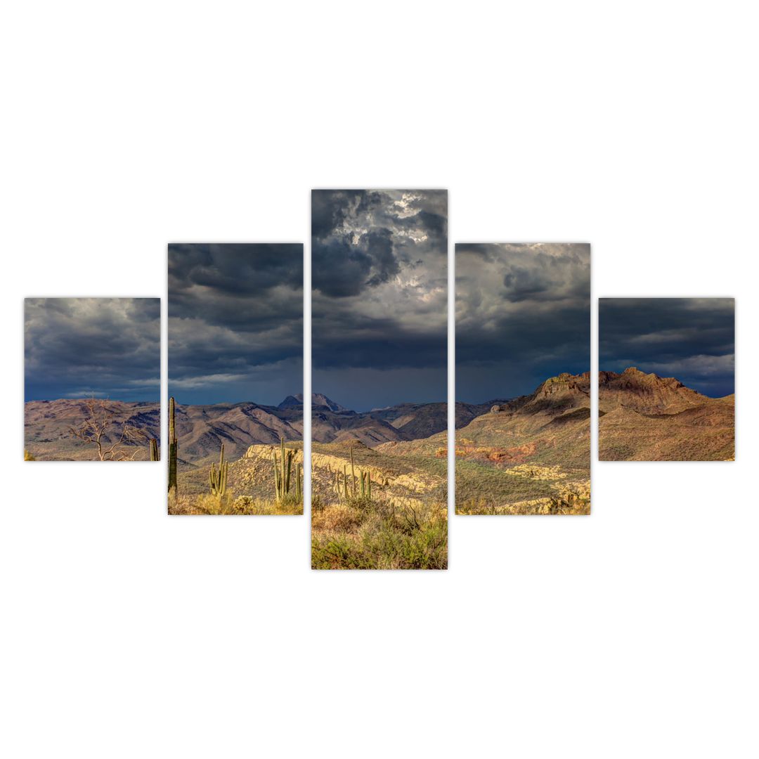 Obraz - kaktusy v přírodě (V020557V12570)