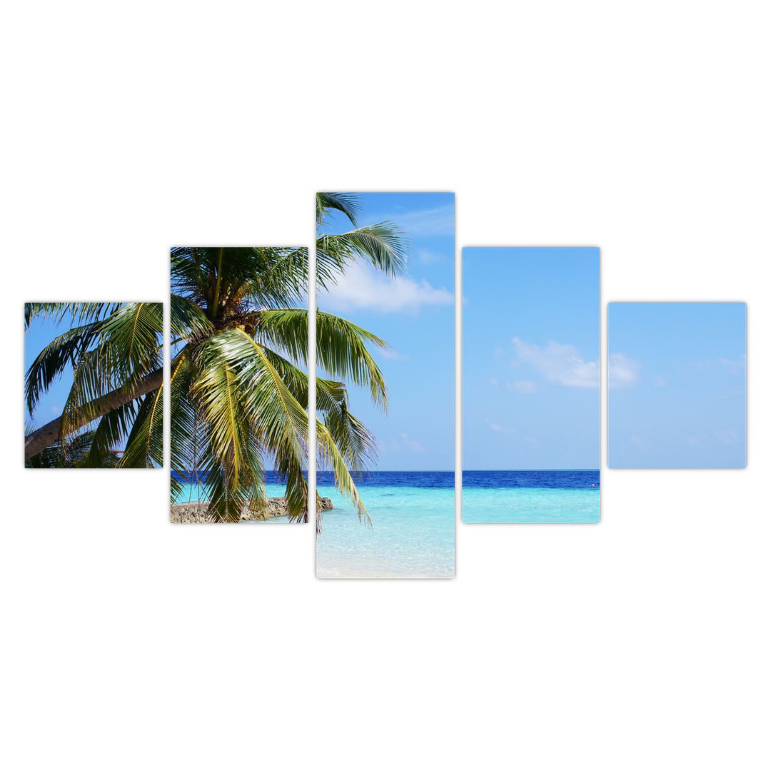 Obraz palmy na pláži (V020612V12570)