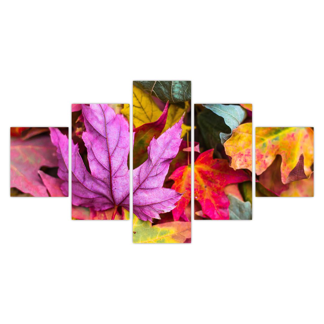 Obraz - podzimní listy (V020629V12570)